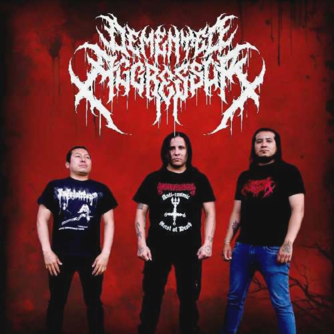 Foto del músico Santiago Demented Aggressor