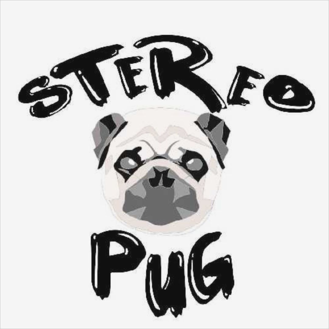 Foto del músico STEREO PUG